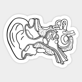 Line Drawing of Inner Ear Anatomy Illustration Sticker